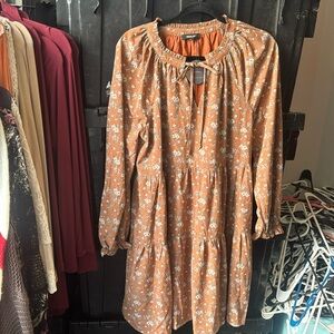 NWT fall dress